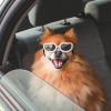 Pet Goggles Dog UV Protection Glasses Waterproof Windproof Anti-Fog Eye Glasses